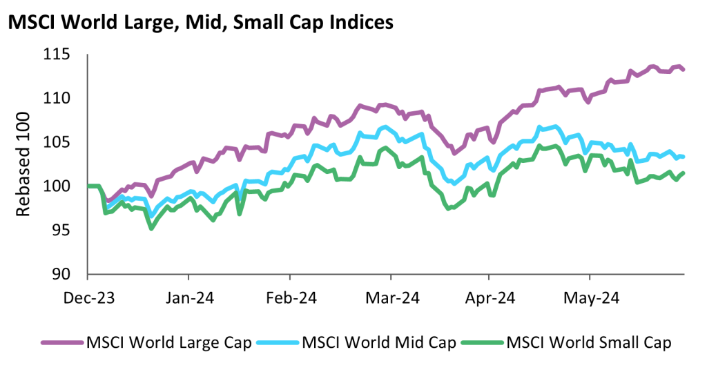 MSCI World Large Cap companies are contributing more heavily than Mid and Small Cap companies to total return